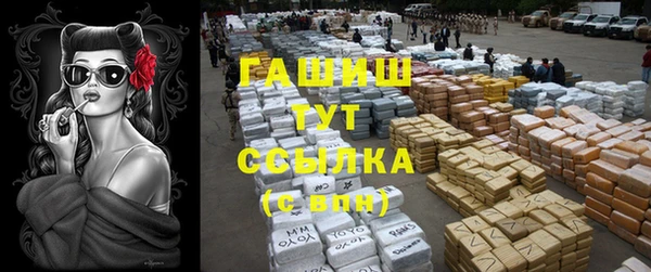 каннабис Богданович
